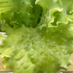 Diferenciando patógenos: Bio-, Necro- e Hemibiotróficos